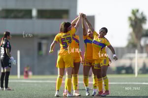 Santos Laguna vs Tigres UANL S19