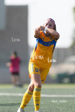 Santos Laguna vs Tigres UANL S19