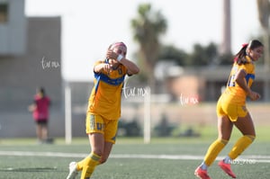 Santos Laguna vs Tigres UANL S19