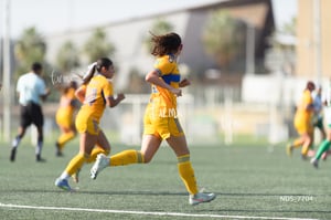 Santos Laguna vs Tigres UANL S19