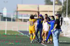 Santos Laguna vs Tigres UANL S19