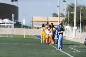 Santos Laguna vs Tigres UANL S19