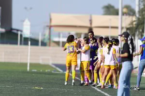 Santos Laguna vs Tigres UANL S19