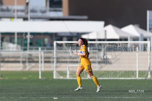 Santos Laguna vs Tigres UANL S19