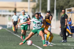 Santos Laguna vs Tigres UANL S19