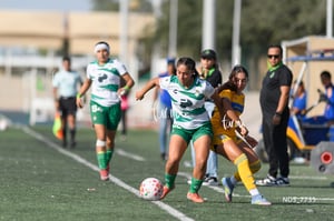 Santos Laguna vs Tigres UANL S19
