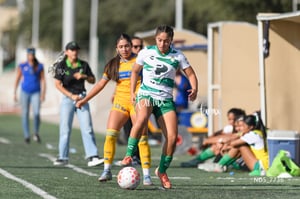 Santos Laguna vs Tigres UANL S19