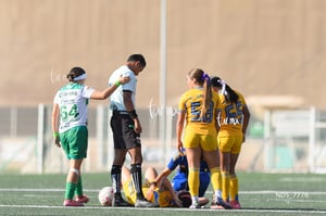 Santos Laguna vs Tigres UANL S19