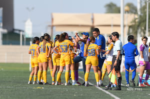 Santos Laguna vs Tigres UANL S19
