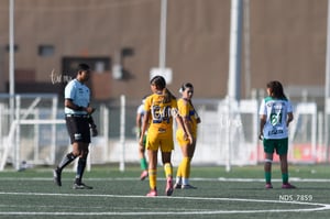 Santos Laguna vs Tigres UANL S19