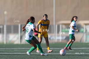 Santos Laguna vs Tigres UANL S19