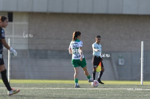 Santos Laguna vs Tigres UANL S19