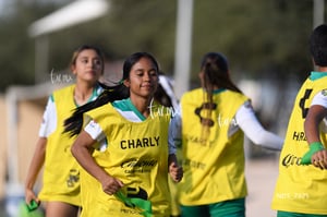 Santos Laguna vs Tigres UANL S19