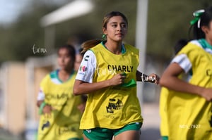 Santos Laguna vs Tigres UANL S19