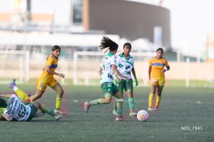 Santos Laguna vs Tigres UANL S19