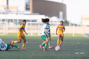 Santos Laguna vs Tigres UANL S19