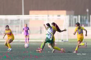 Santos Laguna vs Tigres UANL S19