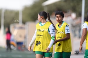 Santos Laguna vs Tigres UANL S19
