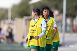 Santos Laguna vs Tigres UANL S19