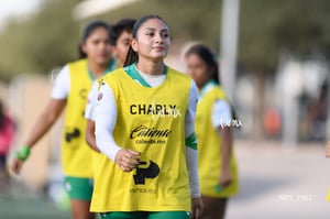 Santos Laguna vs Tigres UANL S19