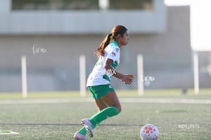 Santos Laguna vs Tigres UANL S19