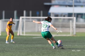 Santos Laguna vs Tigres UANL S19