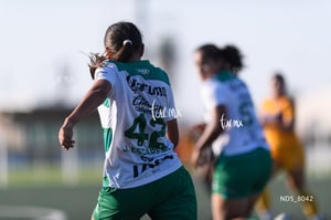 Santos Laguna vs Tigres UANL S19