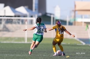 Santos Laguna vs Tigres UANL S19