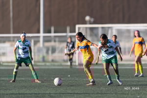 Santos Laguna vs Tigres UANL S19