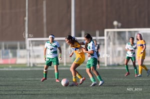 Santos Laguna vs Tigres UANL S19