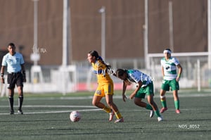 Santos Laguna vs Tigres UANL S19