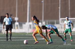 Santos Laguna vs Tigres UANL S19