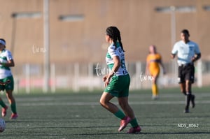 Santos Laguna vs Tigres UANL S19