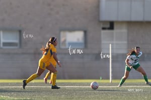 Santos Laguna vs Tigres UANL S19