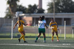 Santos Laguna vs Tigres UANL S19