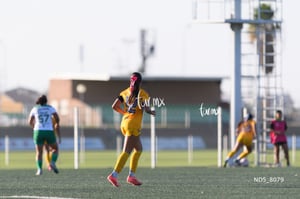 Santos Laguna vs Tigres UANL S19
