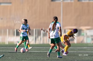 Santos Laguna vs Tigres UANL S19