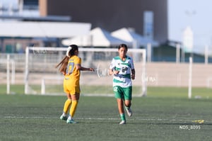 Santos Laguna vs Tigres UANL S19