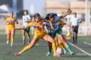 Santos Laguna vs Tigres UANL S19