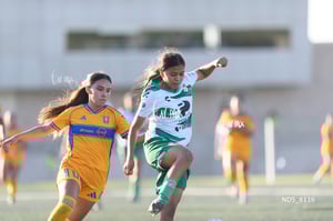 Santos Laguna vs Tigres UANL S19
