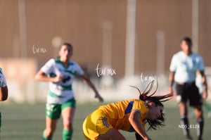 Santos Laguna vs Tigres UANL S19