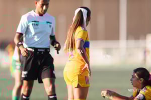 Santos Laguna vs Tigres UANL S19