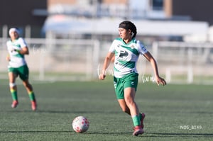 Santos Laguna vs Tigres UANL S19