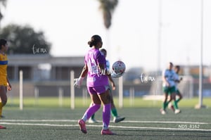 Santos Laguna vs Tigres UANL S19