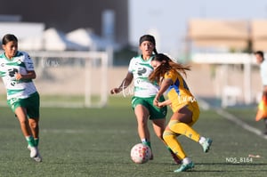 Santos Laguna vs Tigres UANL S19