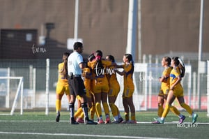 Santos Laguna vs Tigres UANL S19