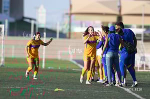 Santos Laguna vs Tigres UANL S19