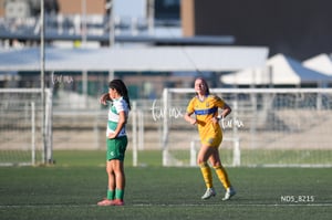 Santos Laguna vs Tigres UANL S19