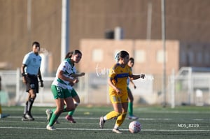 Santos Laguna vs Tigres UANL S19