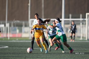 Santos Laguna vs Tigres UANL S19